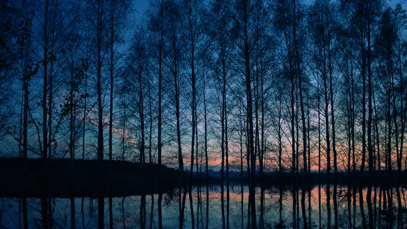 рассвет 22 июня 1941 года брестская крепость. рождество за окном. природа вечер. год начнется тишиною. год начнется тишиною.