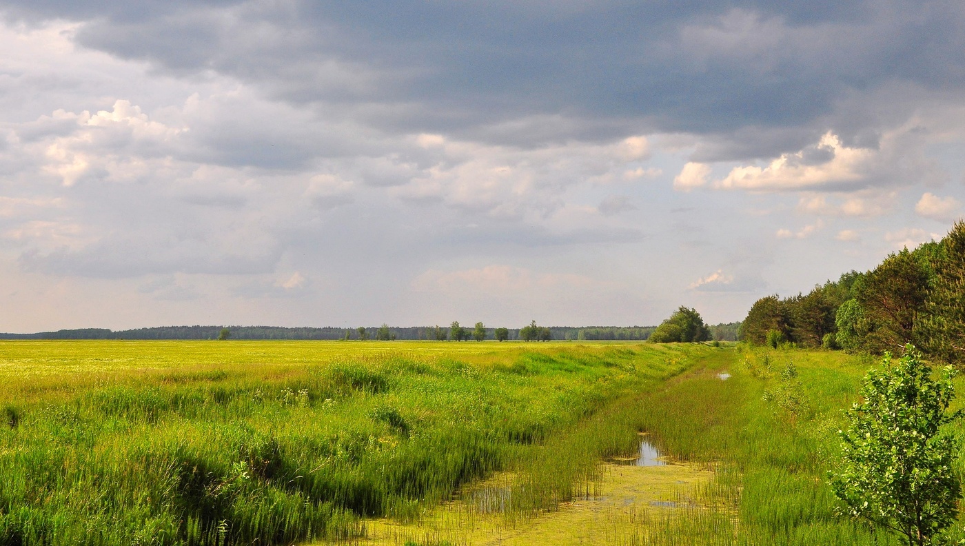 Май село. Май в деревне. Май деревня природа. За деревней. Деревня май солнце.