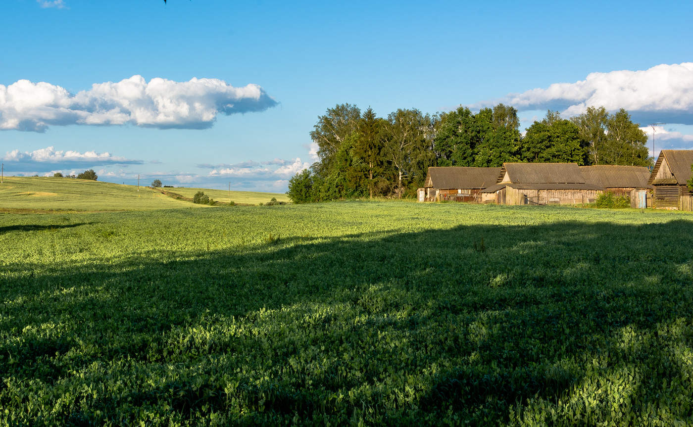 Пра беларусь