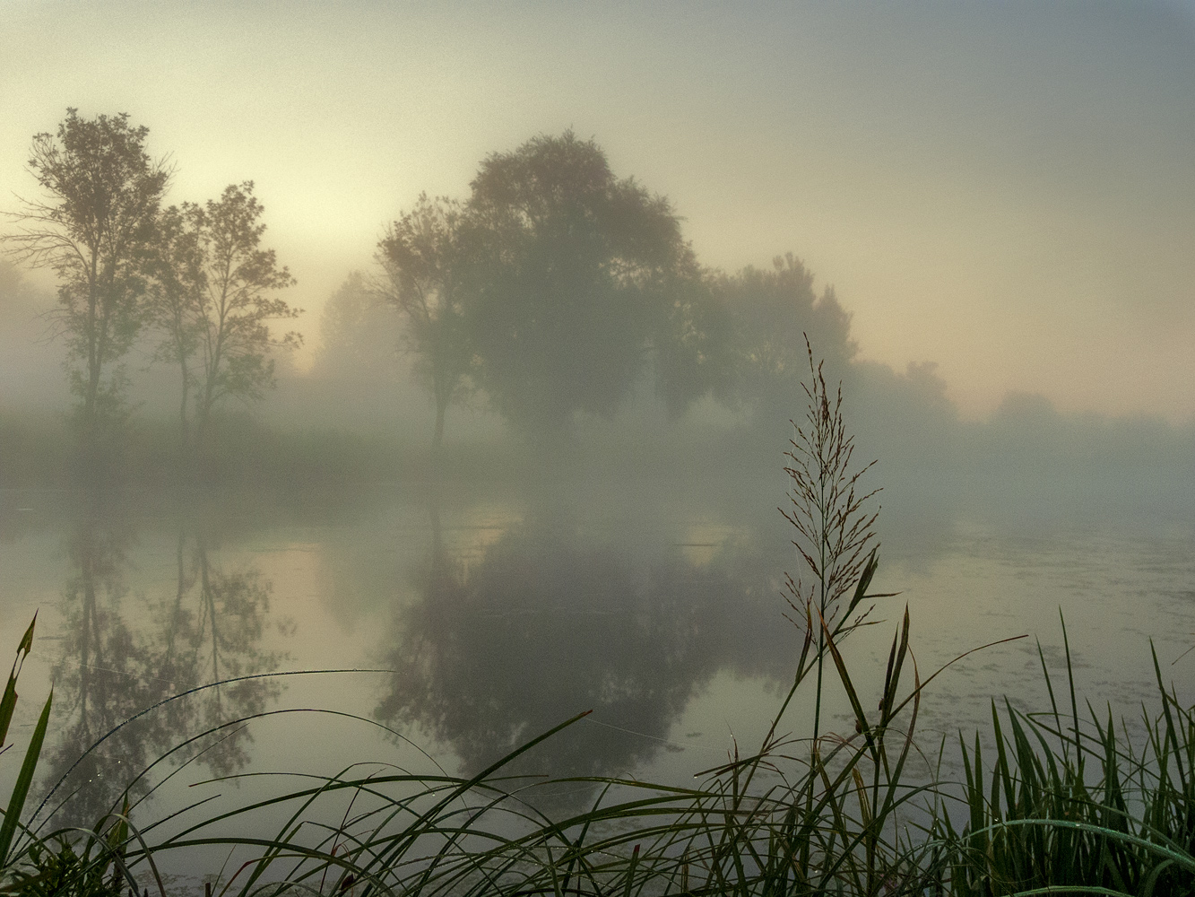 Туман над травой песня слушать. Озеро Рахмановская Старица туман. Туман на реке. Туман над водой. Туман над рекой.
