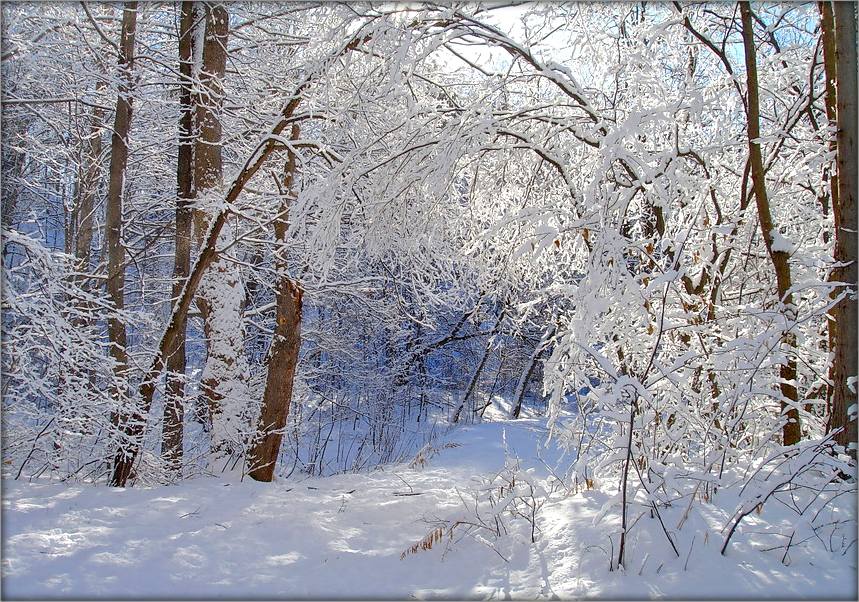 Зімовы дзень. Першы дзень зимы.