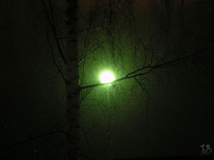 Through the light