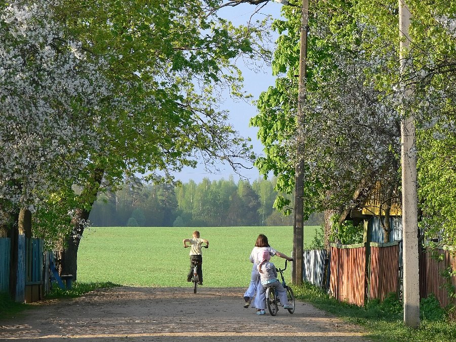 Село лети. Лето в деревне детство. Лето в деревне ностальгия. Весна в деревне дети. Молодость в деревне.