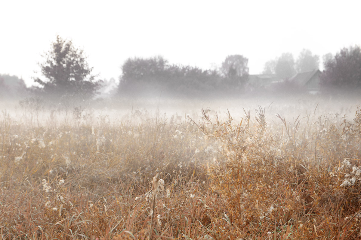 Мгла (в авиационной метеорологии). Под туман. Пейзаж туман. Густой туман ночью. Атмосферные пейзажи.