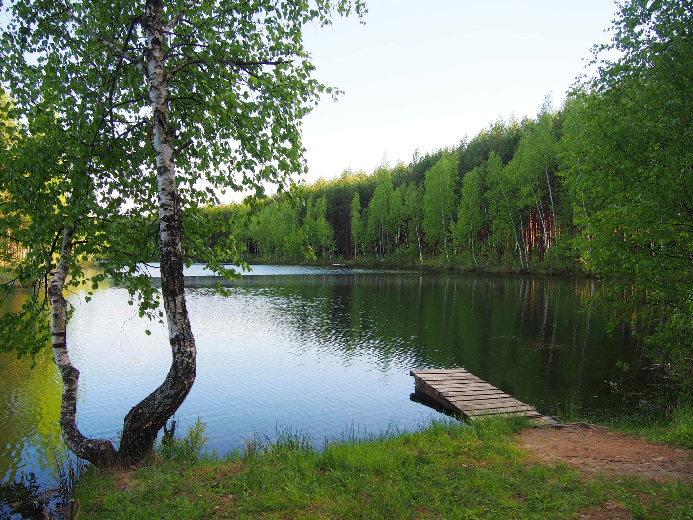 Хорошо гулять по берегу лесного озера. Лесное озеро. Русское Лесное озеро. Жители лесного озера. База лесного озера лесного озера Удмуртской турбаза.