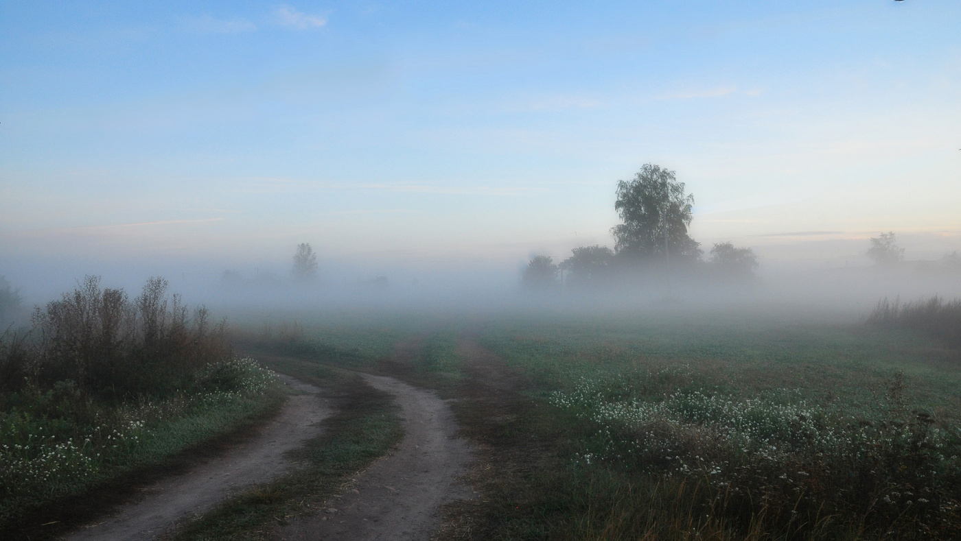 Туман туман густая пелена. Туманное утро в деревне. Туманный пейзаж. Рассвет туман. Утро туман деревня.