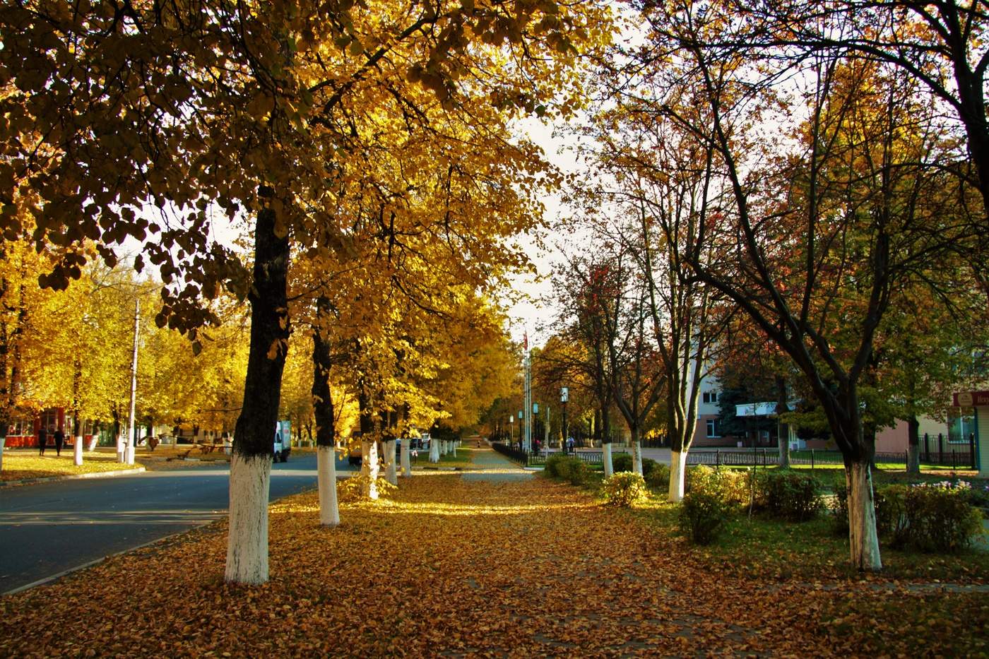 Городская осень фото