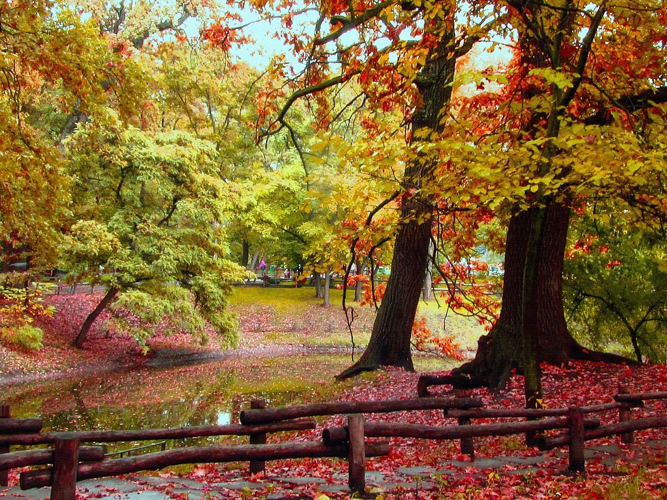 В парк пришла осень. Осень пришла. Осень пришла картинки. Осень осень приходи. Ashnanayin Havaqatu.