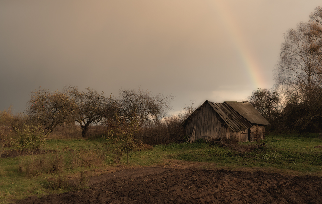 Село дождь. Пасмурный день в деревне. Дождь в деревне. Деревня после дождя. Хмурая осень в деревне.