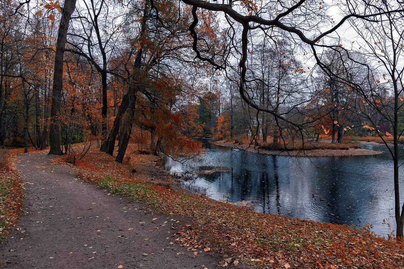 Осенью обработала. Парк осень ноябрь СПБ. Парк в ноябре. Поздняя осень парк. Осенний ноябрьский парк.