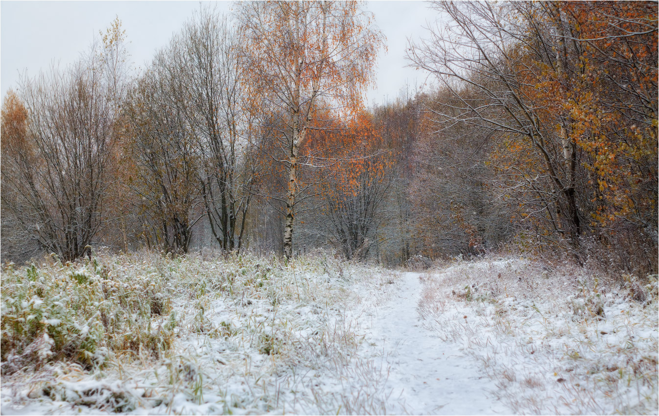 Фото ноябрь месяц. Седьмая фаза ‒ поздняя осень (ноябрь - декабрь).. Ноябрь месяц. Конец осени без снега. Осень, первозимье ноябрь.