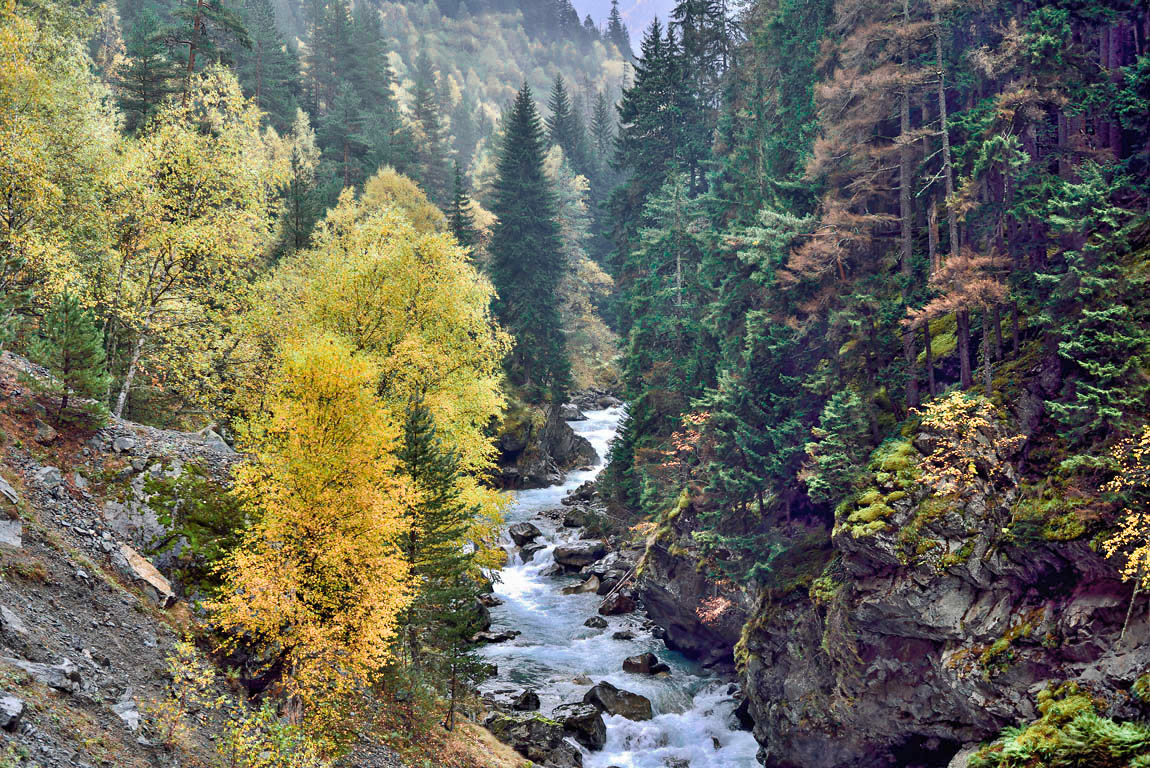 Ущелье гоначхир домбай фото