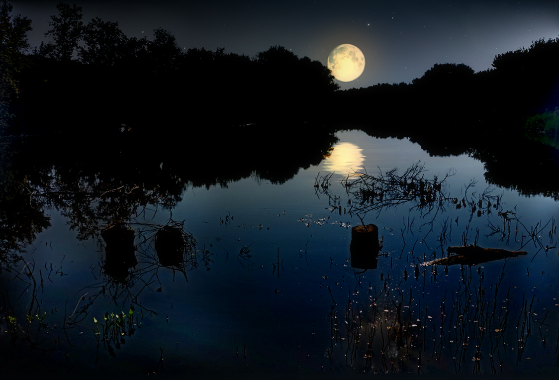 Золотою луна распласталась на тихой воде. Болото ночью. Пруд ночью. Ночь на болоте. Отражение Луны.