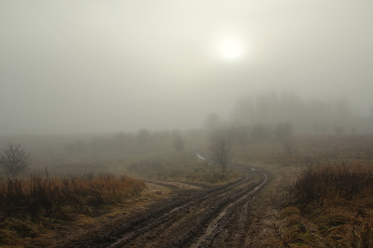 Лощина это. Лощина. Лощина картинки. Лощина фото. Глухая Лощина картинки.