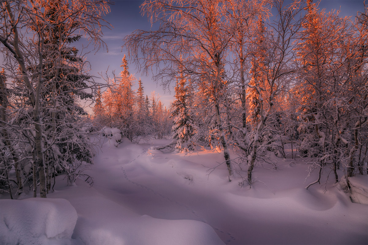 Красота Зимы Фото