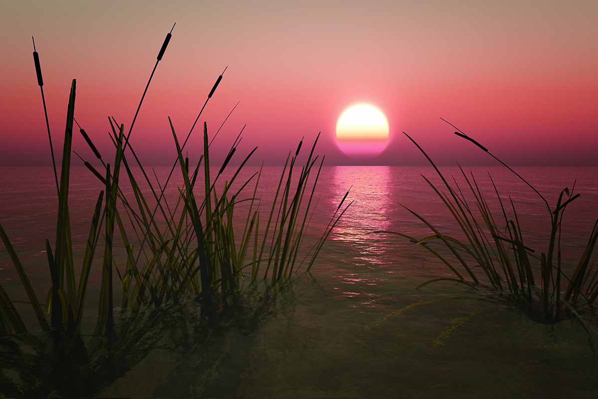 Картинки малиновый звон на заре