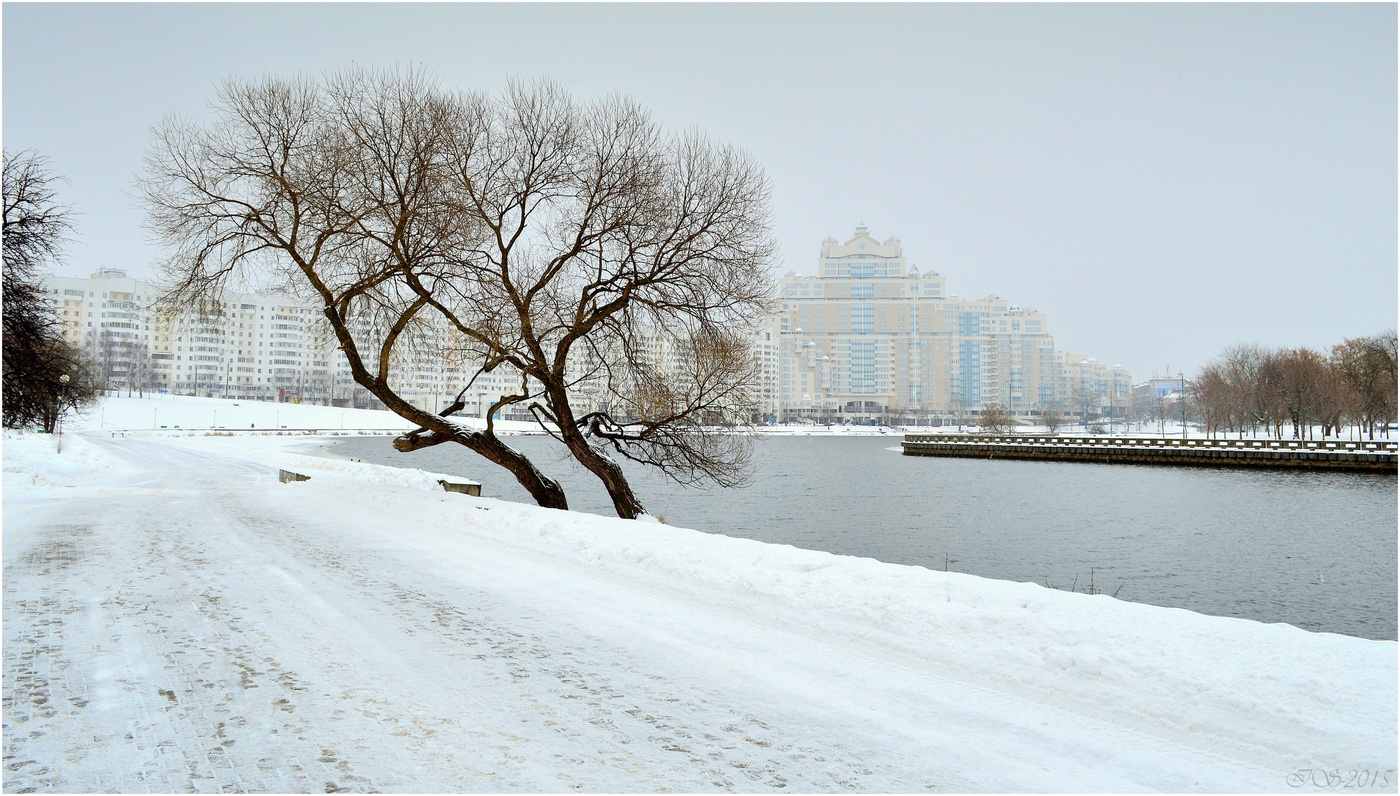 Минск зима снегопад