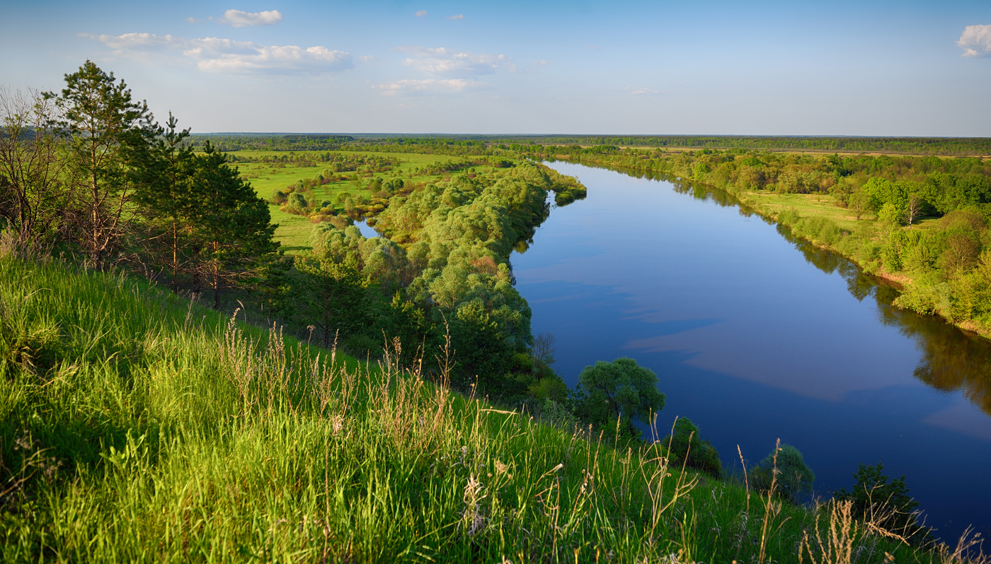 Брянский р. Река Десна Трубчевск. Река Десна Троицк. Трубчевский район Брянская область река Десна. Природа Брянской области Десна.