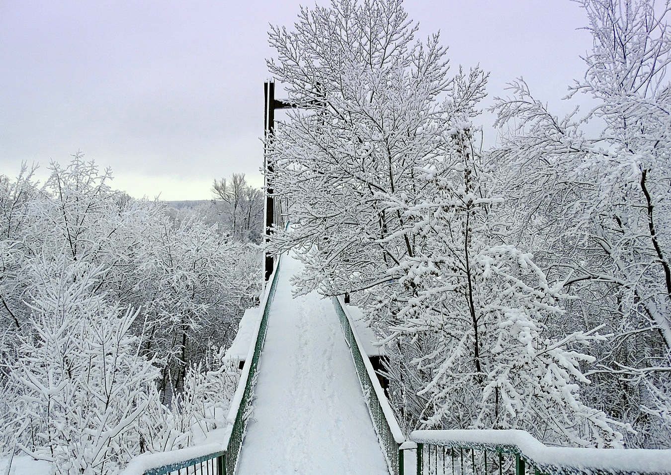 Замело снегом замело в ночь