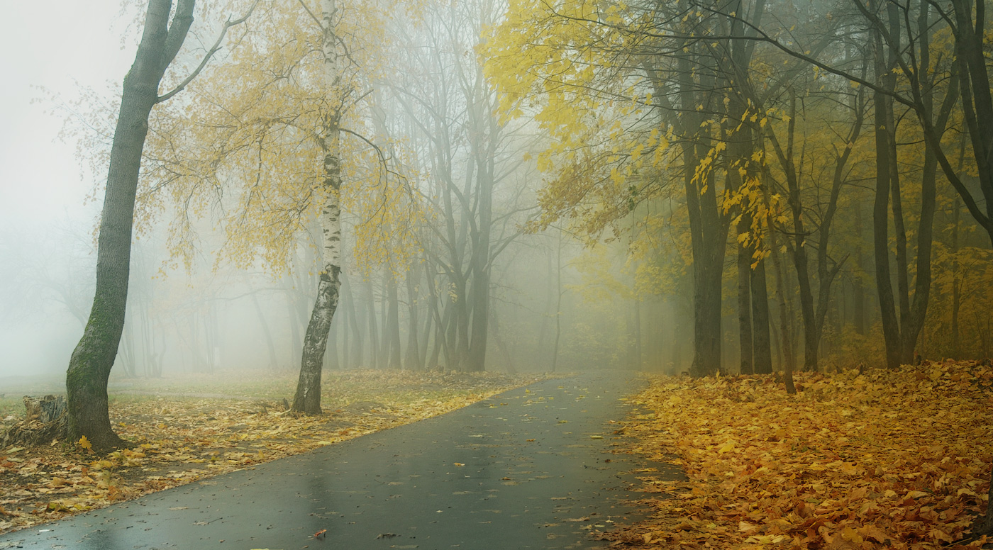 Осеннее утро сегодня