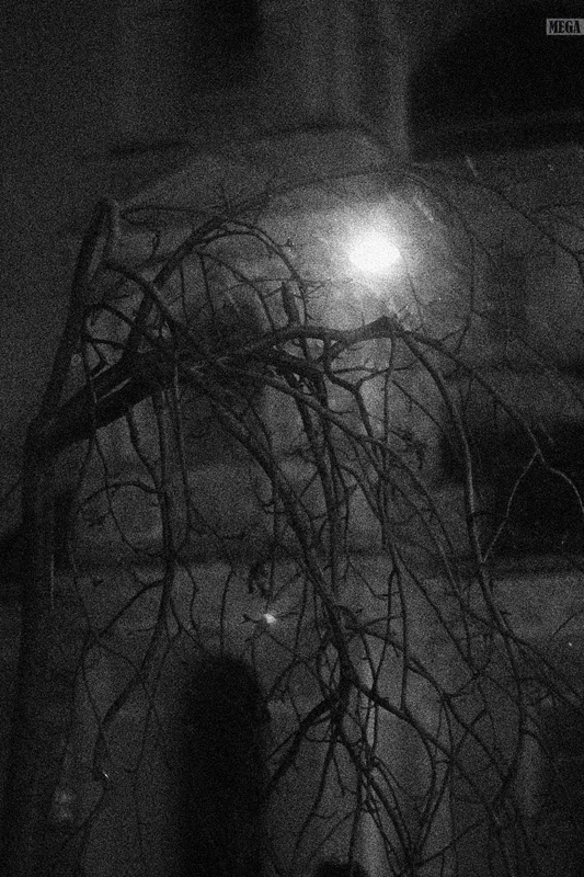 Голодные тени. Ночь фонарь тень. Заброшенный дом ночью с фонариком. Тени веток на заборе ночью.