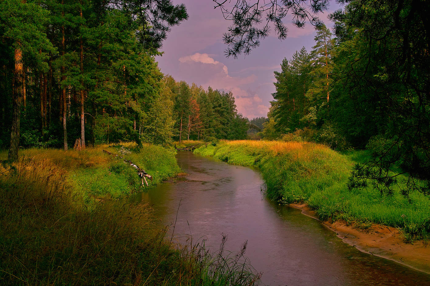 Природа московской. Река Нерская. Подосинки река Нерская. Река Нерская в Подмосковье. Исток реки Нерская.