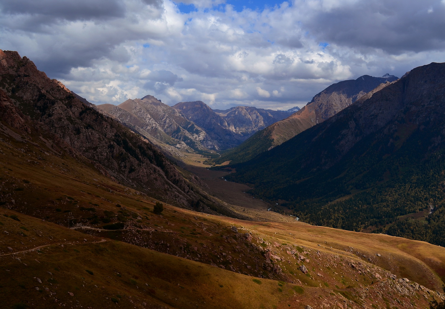 Джунгария