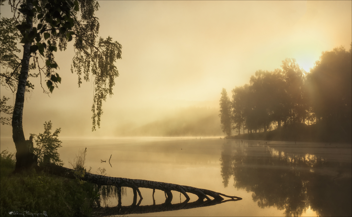 Возвращаясь домой уже совсем рассвело. Ещё не рассвело. Рассвело.