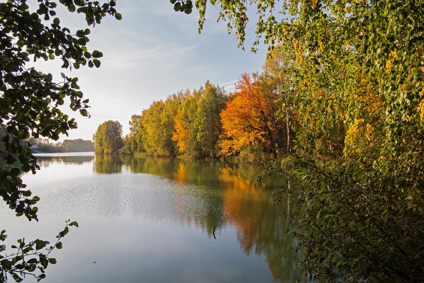 Волго лес. Волга река природа Самара. Волга река Самара осень. Река Волга осенью. Волга лес Волжский.