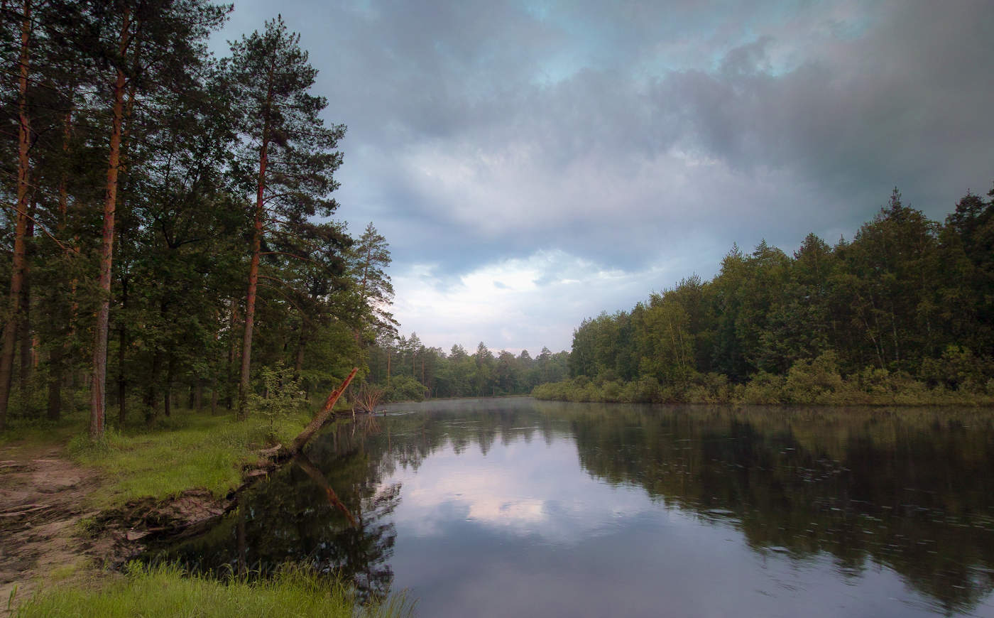 Мещерский лес озеро. Река пра Рязанская область. Мещерский заповедник. Мещерские озера Рязань.