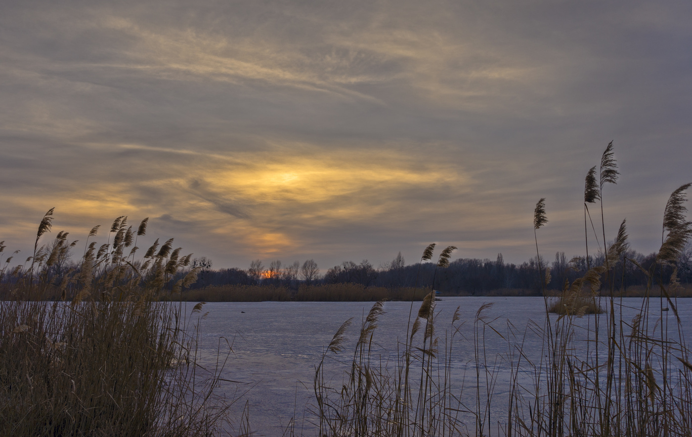 Прохладной ночи. Вечер был прохладный ясный на западе отрывок читать. Вечер был прохладный ясный на западе. Тихий вечер. Прохладной ночи.
