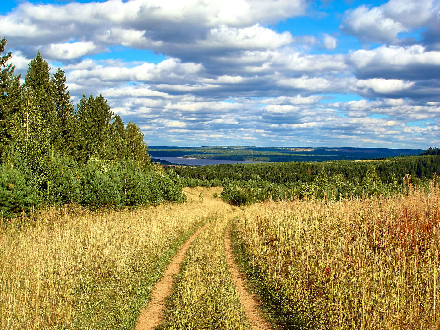 Фото природы урала летом