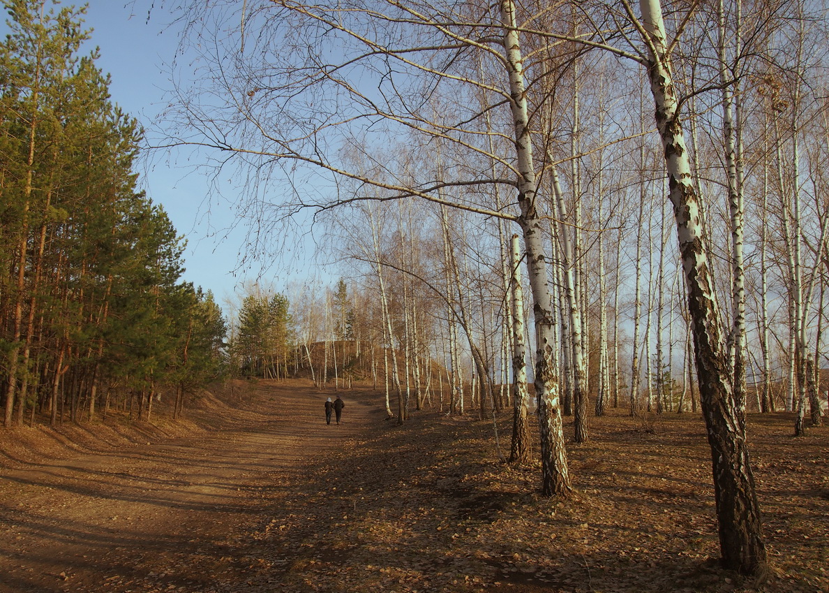 Прогулка весной фото