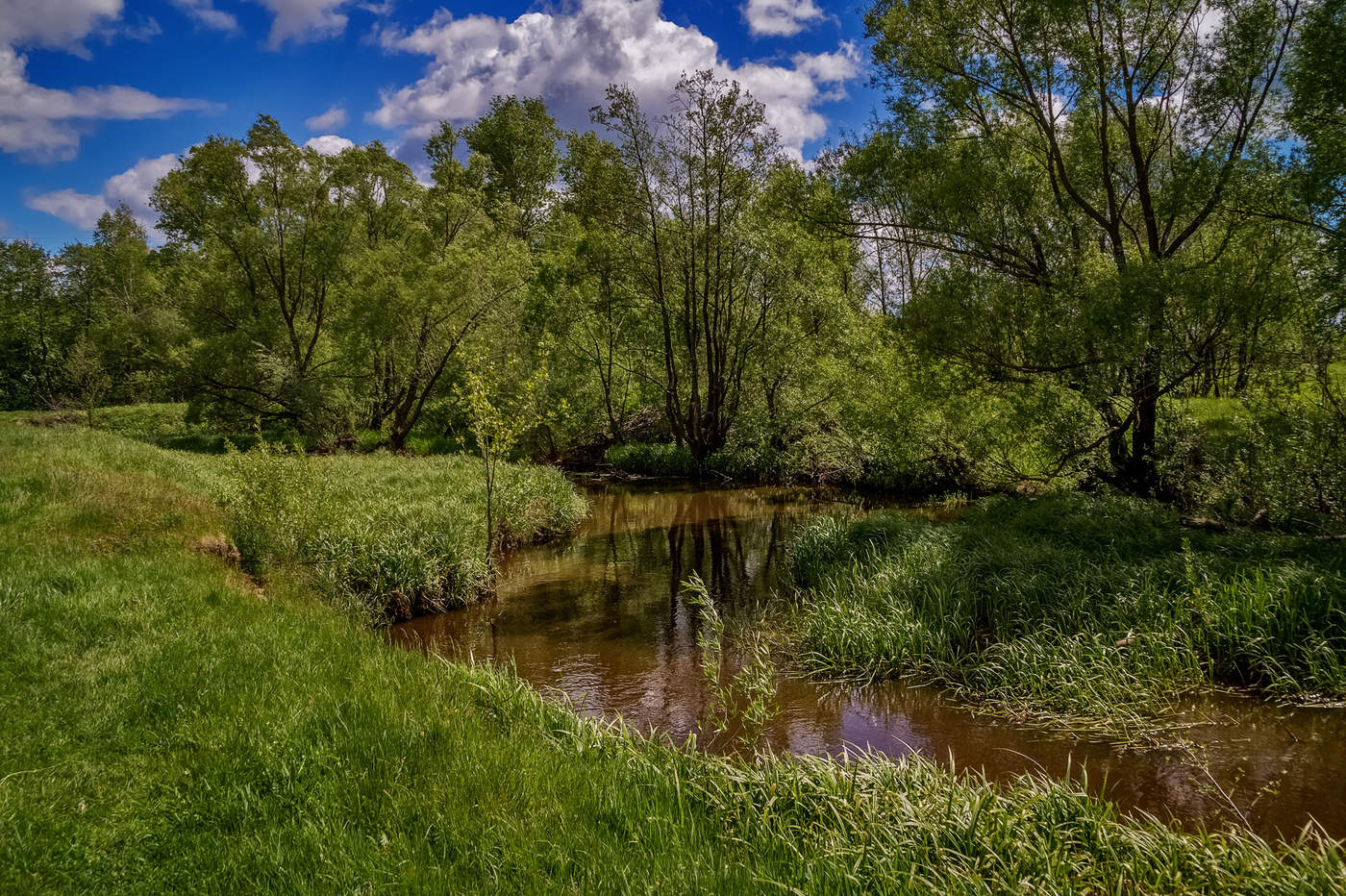 Природа московской. Река Дрезна Московская область. Река Дрезна и Клязьма. Дрезна (приток Клязьмы). Дрезна Клязьма.