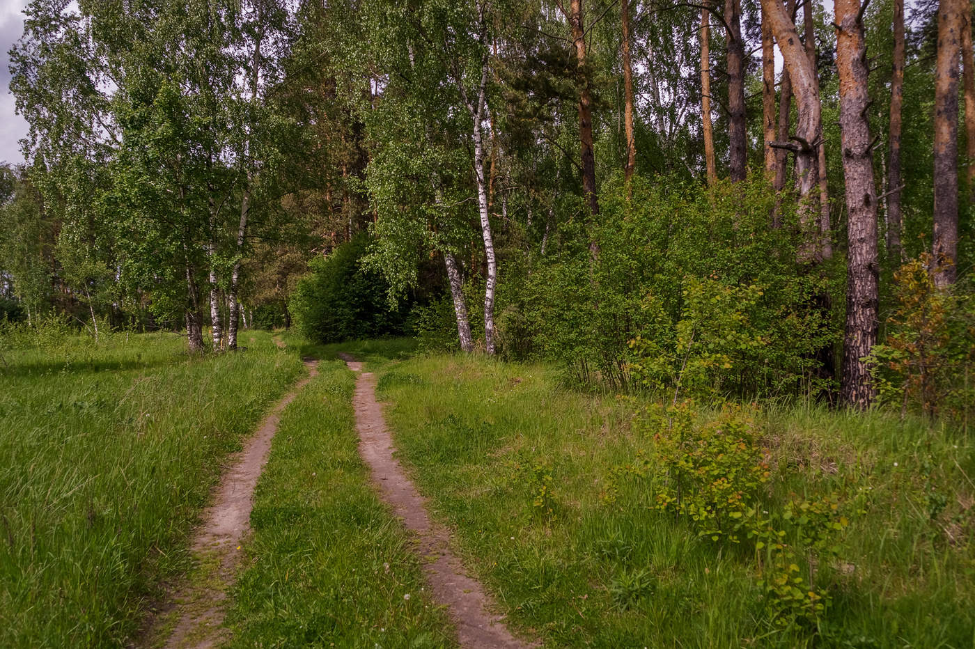 Начинать июнь. Начало июня фото. Начало июня. Начало июня картинки. Природа начало июня Автор фото.