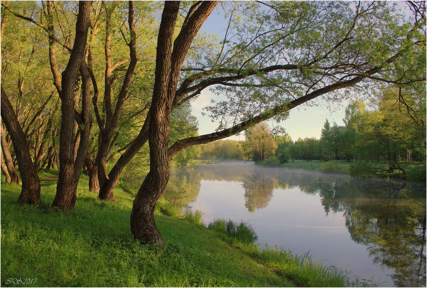 свислочь приток. свислочь река. свислочь приток. свислочь река. верховье свислочи.