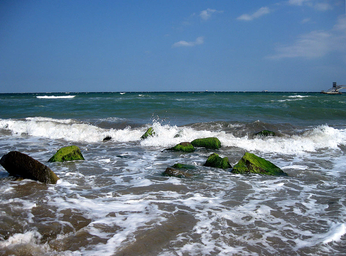 Море вокруг. Около моря. Мол возле моря. Море около Кохтла.