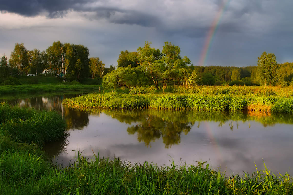 После дождя. Пейзажи природы после дождя. После дождя природа Подмосковье. Русская природа дождь. Красота русской природы дождь.