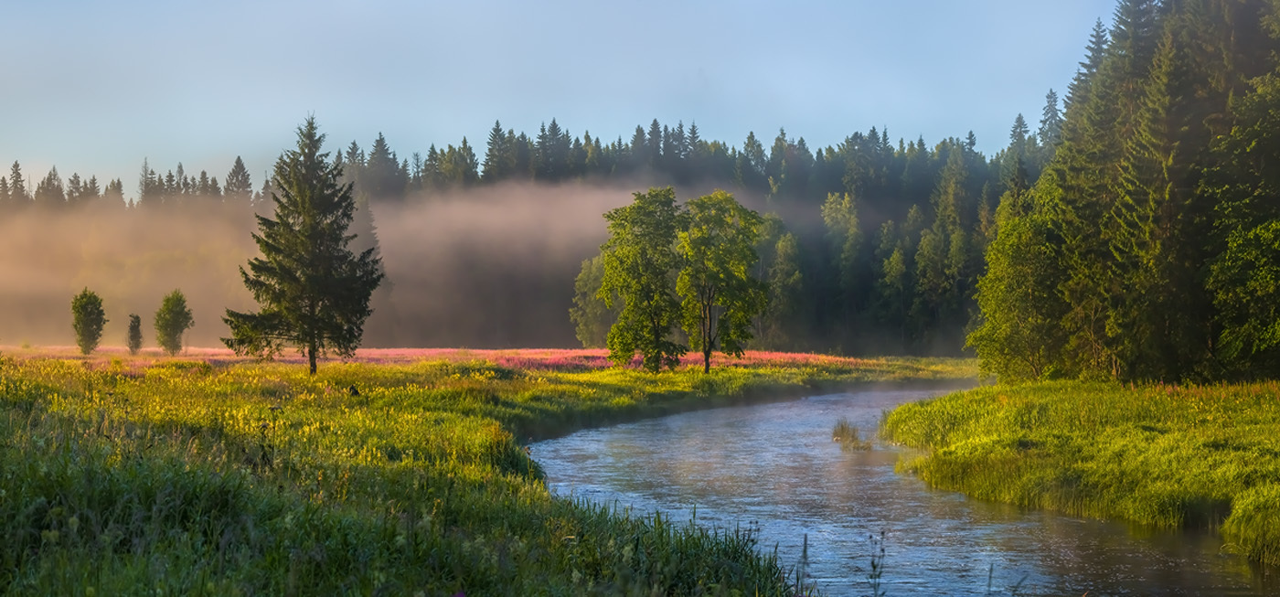 Фёдор Лашков фотограф