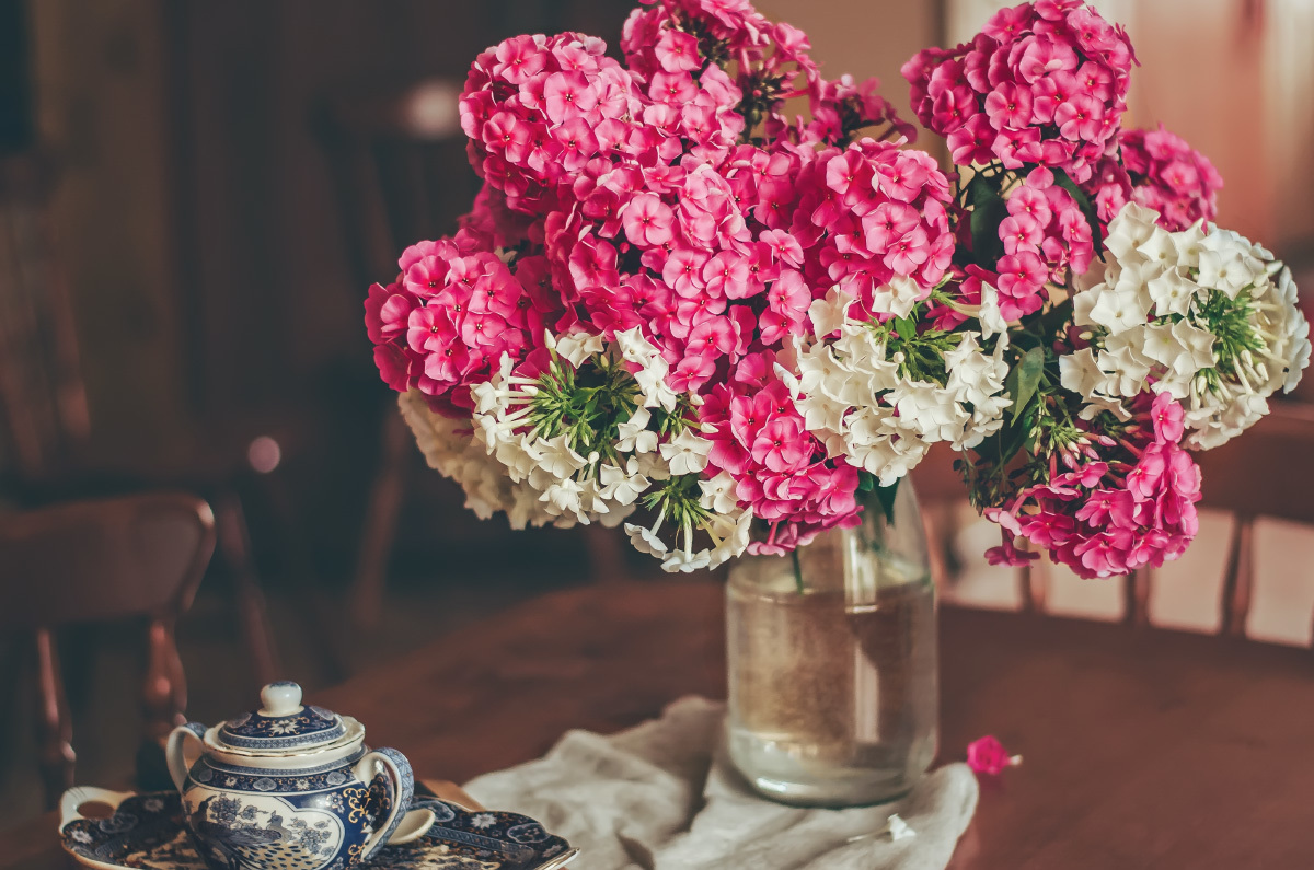 Крамской флоксы. Флоксы цветы. Флоксы букет. Флоксы букет. Цветы флоксы и астры.