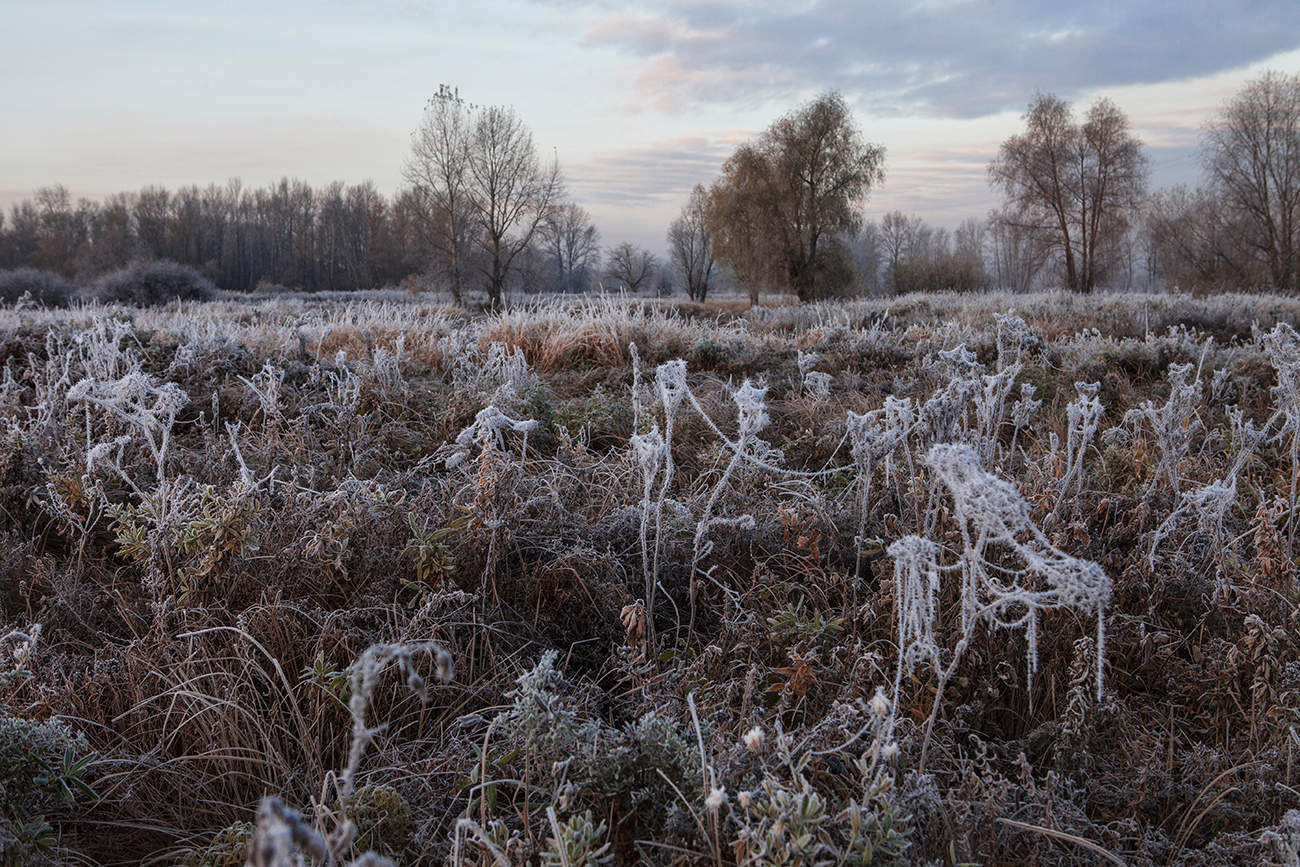 Когда были первые заморозки