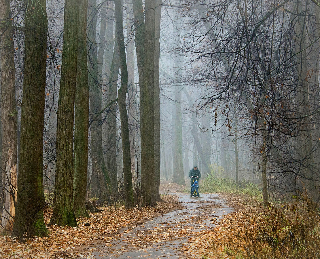 Поздние прогулки. Семья на прогулке. Прогулка поздней осенью. Прогулка по осеннему лесу. Поздние прогулки.