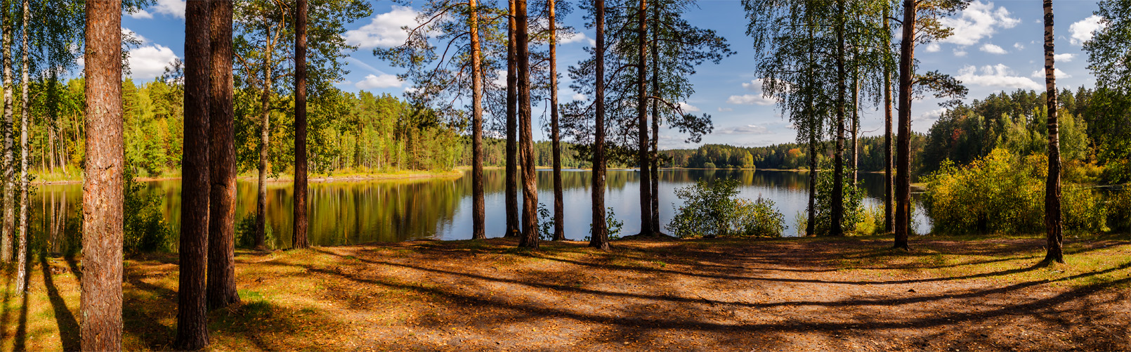 Панорама озеро лес