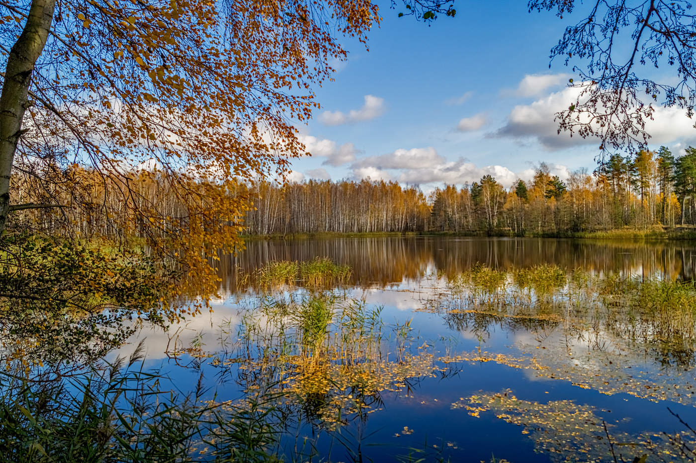 Осенью дышала. Дыхание осени. Осеннее дыхание. Осень Дрезна. Дыхание осени картинки.