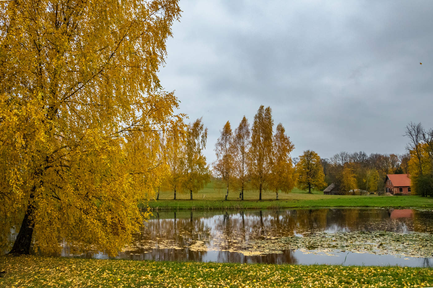 Sigulda #photocentra 