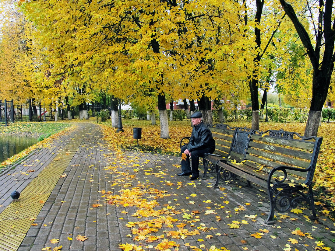 Осенний тихо. Череповец осень. Череповец осенью. Достопримечательности Череповца осенью. Череповец осень достопримечательности.