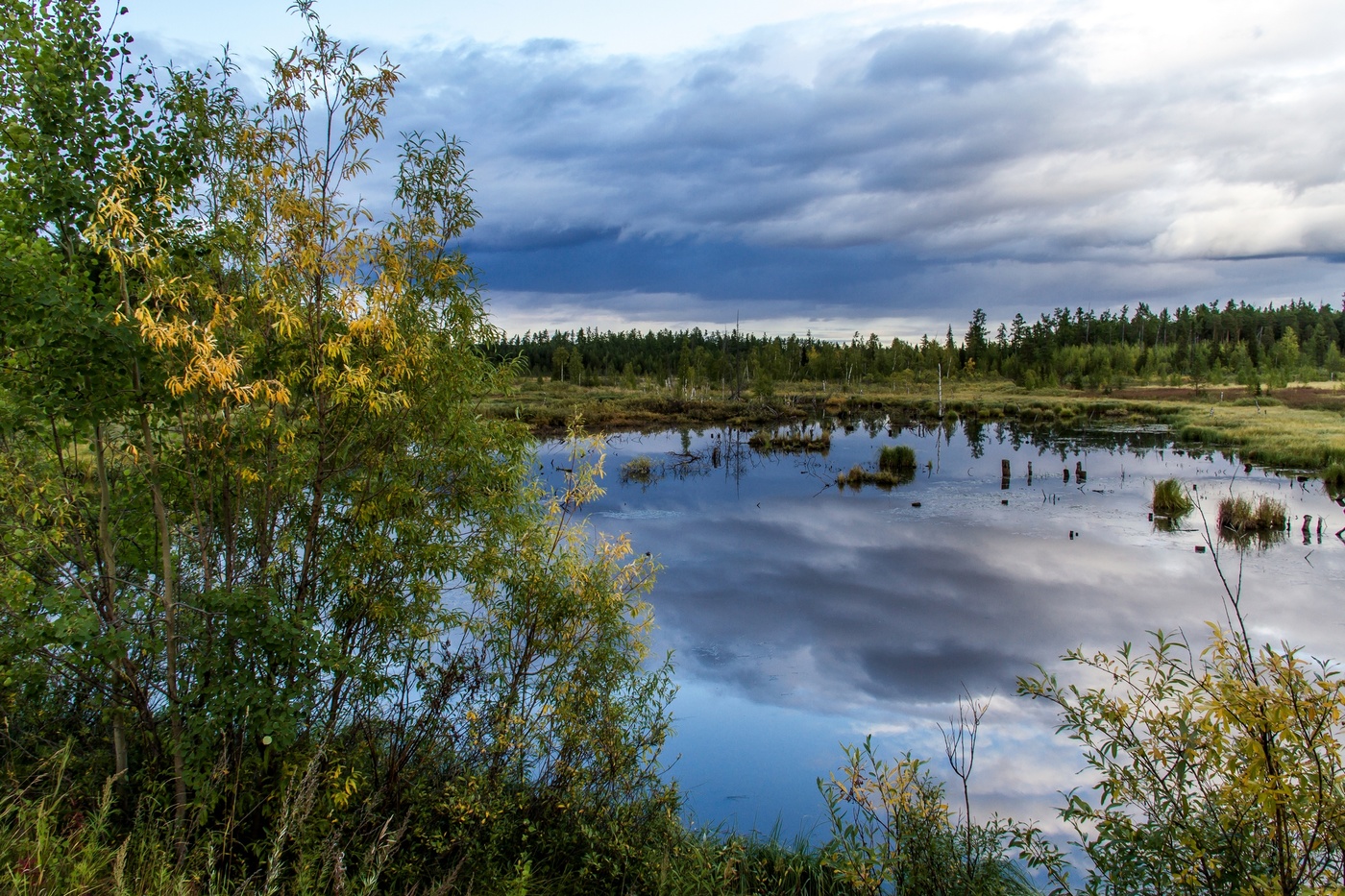Белоярский Район Фото