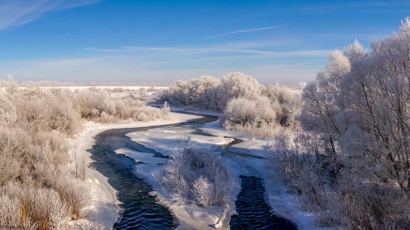 Орел Зимой Фото