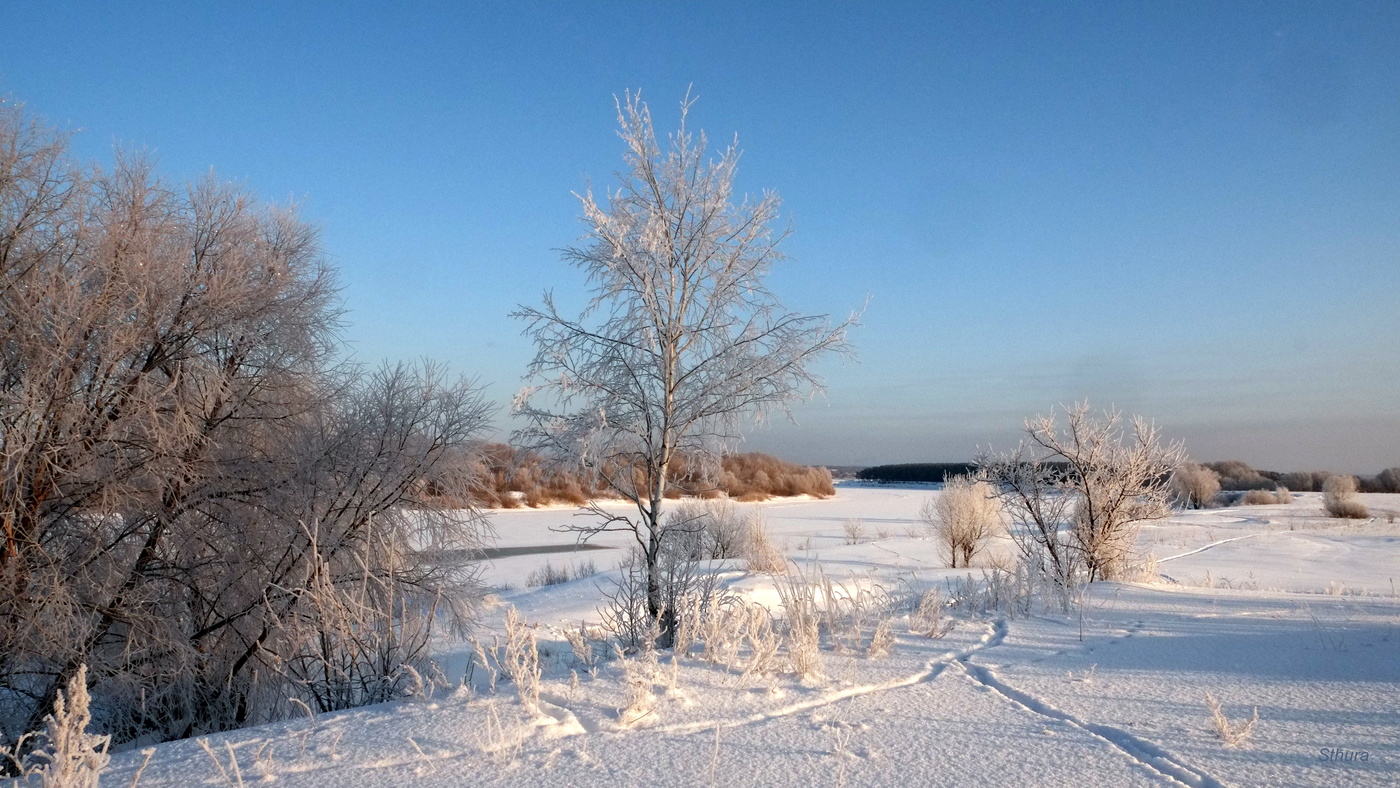 Зимняя ока. Река Ока зимой. Ока зимой пейзаж. Зима на Оке. Река Ока зимой фото.