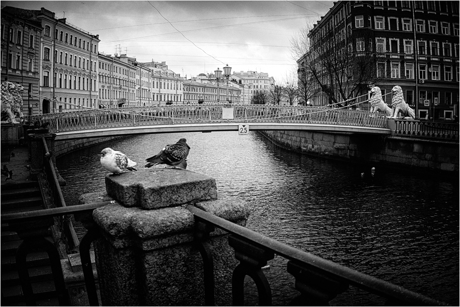 Автору петербург. Питер фотообои чб. Питерский пейзаж чёрно белым цветом. Питер летом красивые фото. Городской пейзаж фото Питер черно-белое.